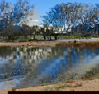 Lake King Wetlands at Rutherglen - Accommodation Resorts
