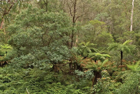 Lind National Park - Accommodation Resorts 0