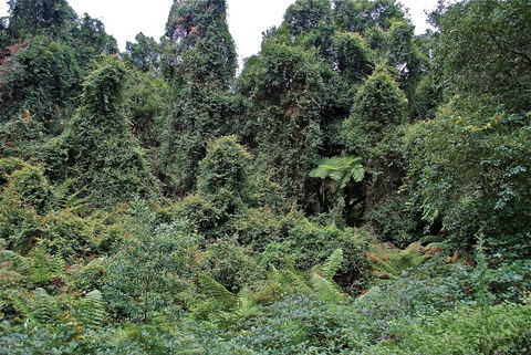 Lind National Park - Accommodation Resorts 1