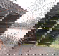 Martin Bend Wetland and Walking Trail - Accommodation Resorts