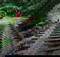 Montezuma Falls - Accommodation Resorts