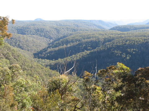 Nattai Gorge Lookout - Accommodation Resorts 0