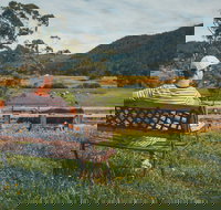 North - North East - Accommodation Resorts