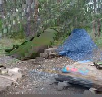 Northbrook Mountain Bush Camp - Accommodation Resorts