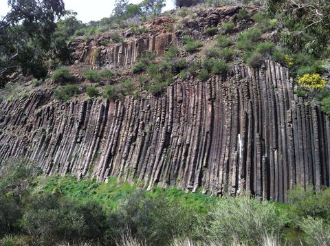 Organ Pipes National Park - Accommodation Resorts 1