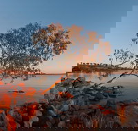 Peery Lake - Accommodation Resorts