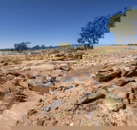 Peery Lake picnic area - Accommodation Resorts