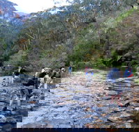 Pierces Pass - Accommodation Resorts