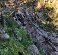 Pine Gully Nature Trail - Accommodation Resorts