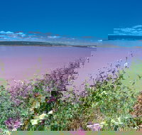 Port Gregory - Accommodation Resorts