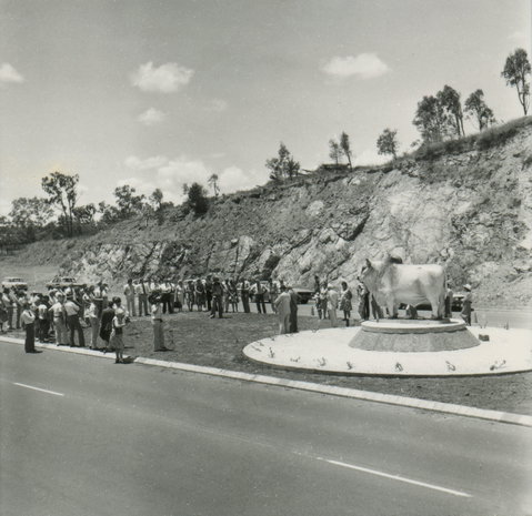 Rockhampton Bull Statues - Accommodation Resorts 0