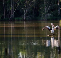 Seaham Swamp Nature Reserve - Accommodation Resorts
