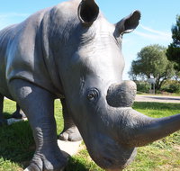 Tailem Bend Rhino Park and Dickson Reserve - Accommodation Resorts