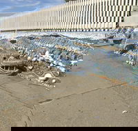 The Nambucca Heads Mosaic - Accommodation Resorts