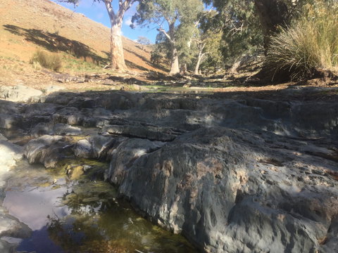 Three Creeks Station -Arkaroona Creek Walk - Accommodation Resorts 0