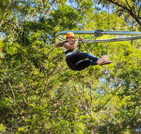 TreeTop Crazy Rider - Accommodation Resorts
