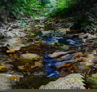 Willi Willi National Park - Accommodation Resorts