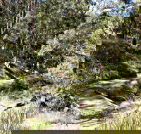 Wollomombi Walking Track - Accommodation Resorts