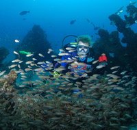 Aarhus Dive Site - Accommodation Resorts