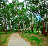 Adungadoo Pathway - Accommodation Resorts