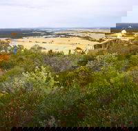 Archer Drive Scenic Drive and Lookout - Accommodation Resorts
