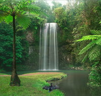 Atherton Tablelands - Accommodation Resorts
