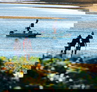 Ayr - Accommodation Resorts