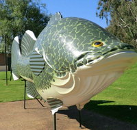 Big Murray Cod - Accommodation Resorts