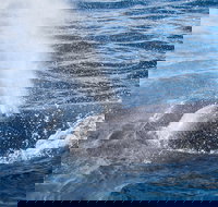 Bremer Bay Canyon - Accommodation Resorts