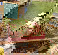 Burnie Farmers Market - Accommodation Resorts