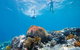 Capricorn Coast And Great Keppel Island Drive Itinerary - thumb 0