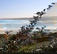 Cape Conran Coastal Park - Accommodation Resorts