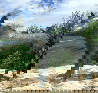 Dingo Statue - Accommodation Resorts
