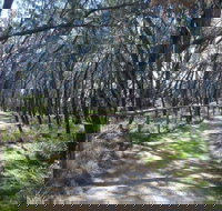 Federation Walk - Accommodation Resorts