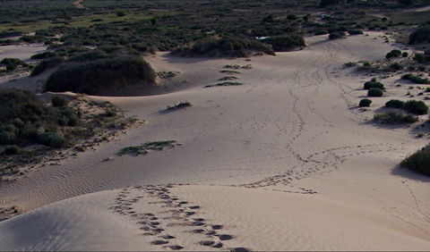 Foreshore Walk, Mungo National Park - Accommodation Resorts 0