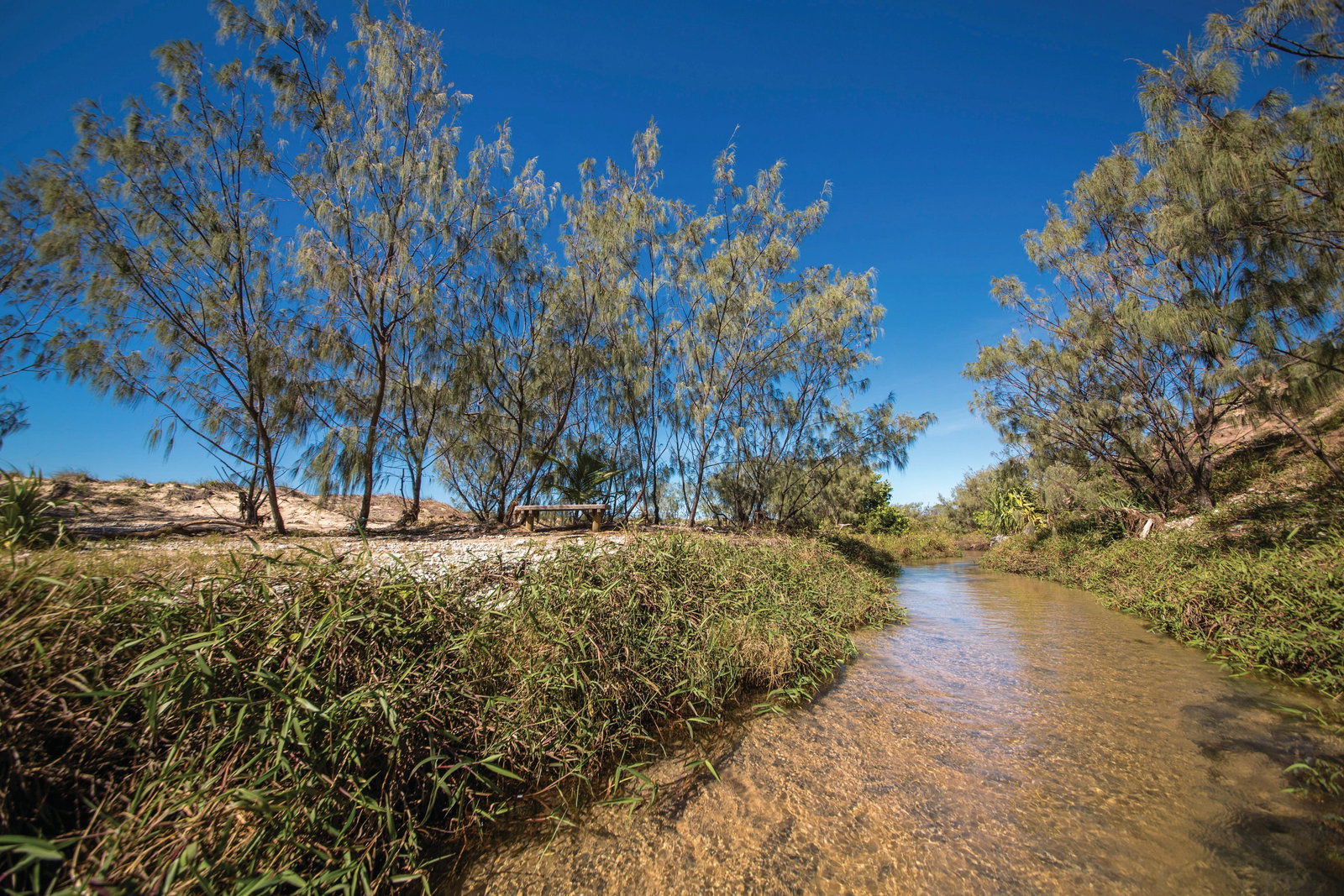Farnborough QLD Accommodation Resorts