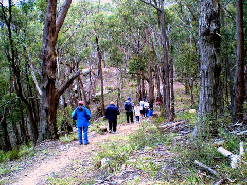 Greater Blue Mountains Heritage Trail - Accommodation Resorts 2