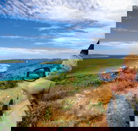 Great Ocean Drive - Accommodation Resorts