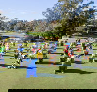 Hello Koalas Sculpture Trail - Accommodation Resorts