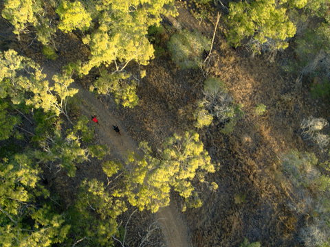 Hillview Drive Reserve - Accommodation Resorts 2