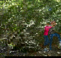 Iluka Rainforest Walking Track - Accommodation Resorts