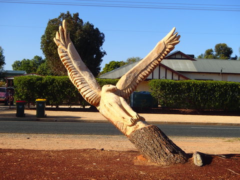 Loxton Tree Sculptures - Accommodation Resorts 0