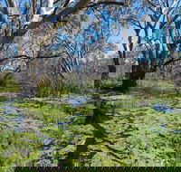 Macquarie Valley Trails - Accommodation Resorts