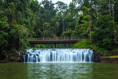 Malanda Falls - Accommodation Resorts 0