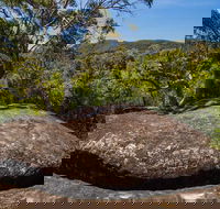 Marramarra Ridge to Smugglers Ridge walking track - Accommodation Resorts