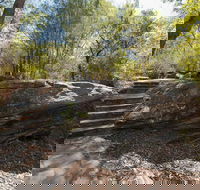 Mooney Mooney nature walk - Accommodation Resorts