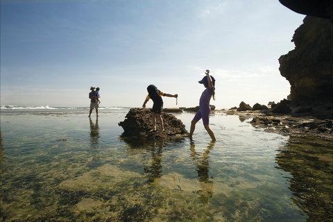 Mornington Peninsula National Park - Accommodation Resorts 2