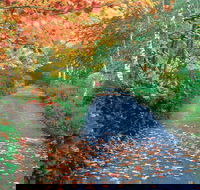 Mount Wilson and Mount Irvine - Accommodation Resorts