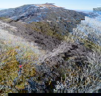 Mt Buller Bike Park - Accommodation Resorts