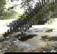 Nellies Glen Carrington Falls - Accommodation Resorts